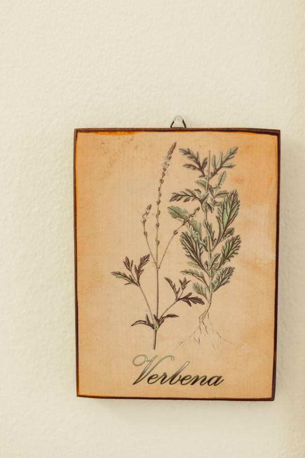 B&B Artemisia Alghero Kültér fotó