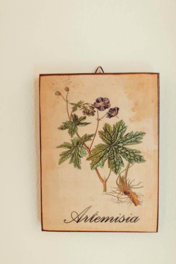 B&B Artemisia Alghero Kültér fotó